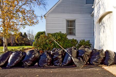 Residential Lawn and Property Cleanups